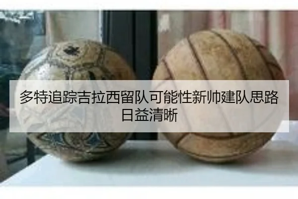 多特追踪吉拉西留队可能性新帅建队思路日益清晰