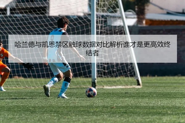 哈兰德与凯恩禁区触球数据对比解析谁才是更高效终结者